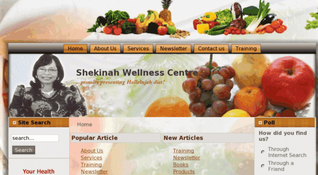 shekinahwellnesscentre.org