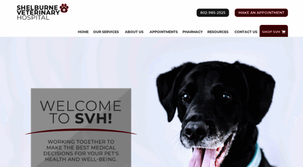 shelburneveterinaryhospital.com