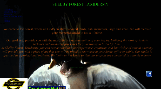 shelbyforesttaxidermy.com