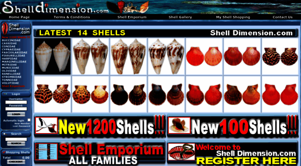 shelldimension.com