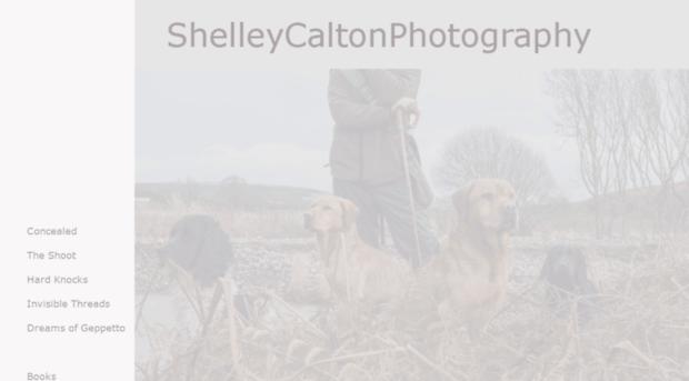 shelleycalton.com