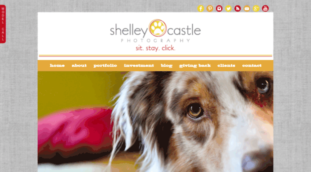 shelleycastlephotography.com