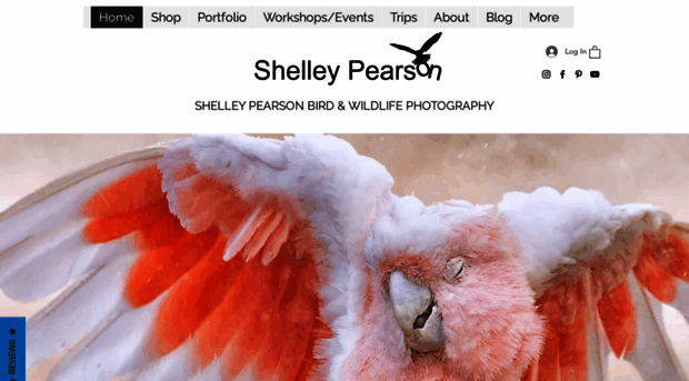 shelleypearson.com