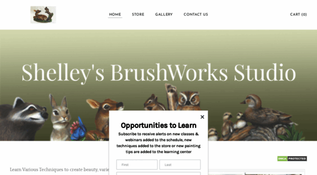 shelleysbrushworks.com