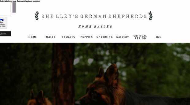 shelleysgermanshepherds.com