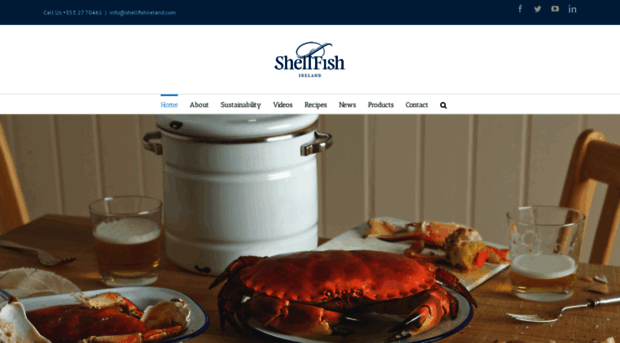 shellfishireland.com