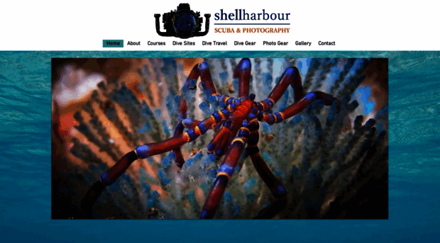 shellharbourscuba.com.au