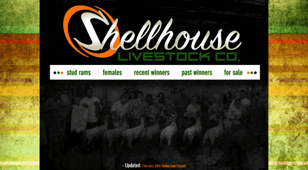 shellhouselivestock.com