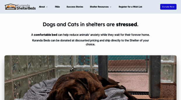 shelterbeds.org