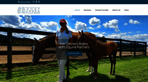 shenandoahsporthorses.com