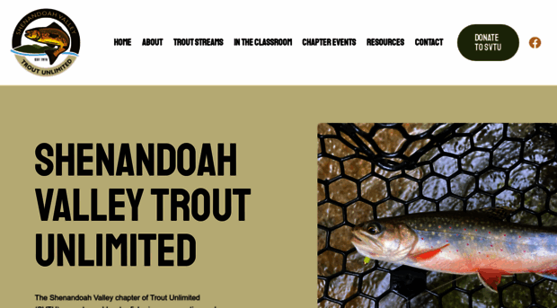 shenandoahvalleytu.com