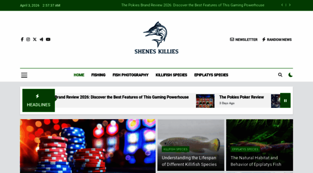 sheneskillies.com