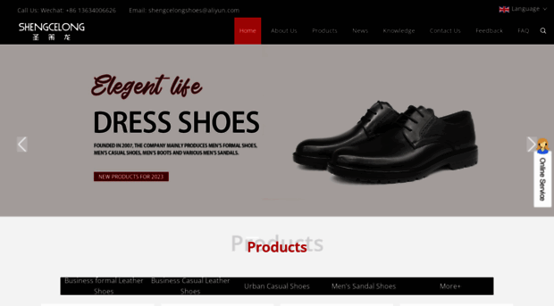 shengcelongshoes.com