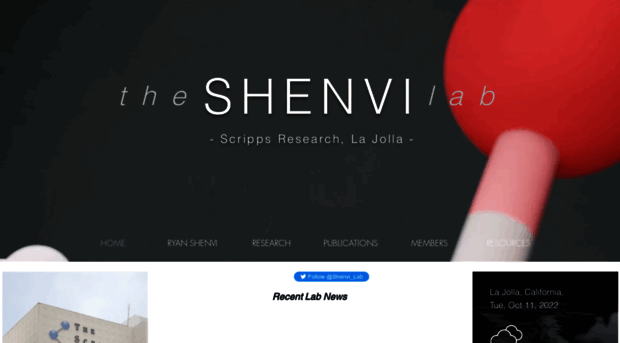 shenvilab.org
