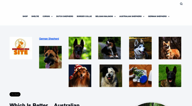 shepherddogsite.com