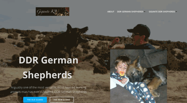 shepherdsgerman.com