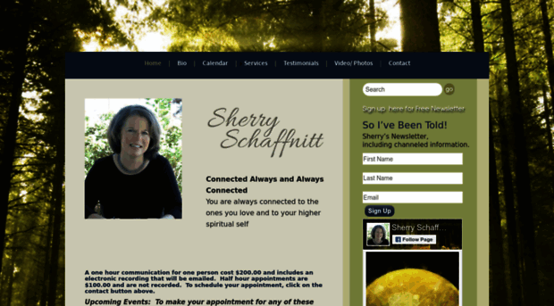 sherryschaffnitt.com