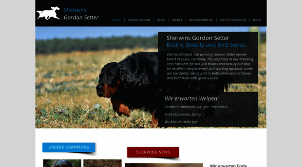 sherwins-gordon-setter.de