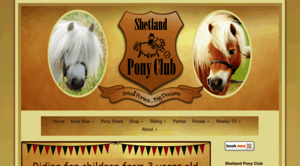 shetlandponyclub.co.uk