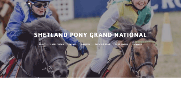 shetlandponygrandnational.net