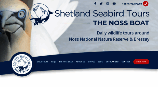 shetlandseabirdtours.com