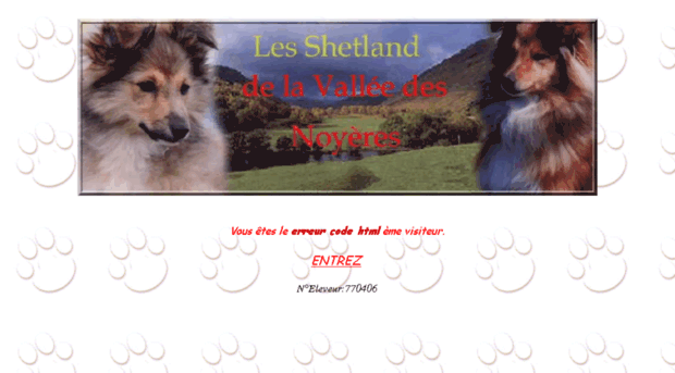 shetlandvdn.com