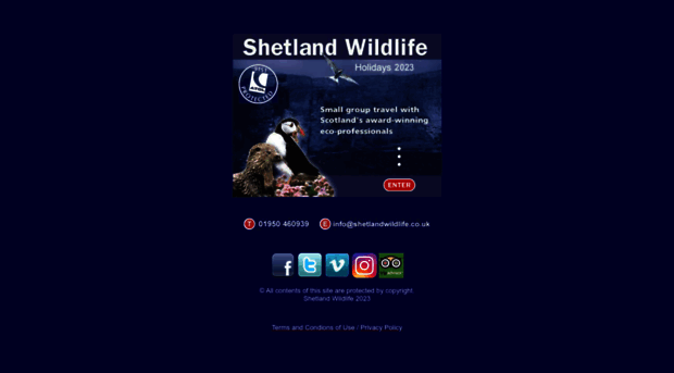 shetlandwildlife.co.uk