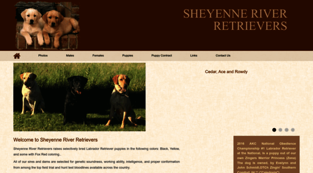 sheyenneriverretrievers.com