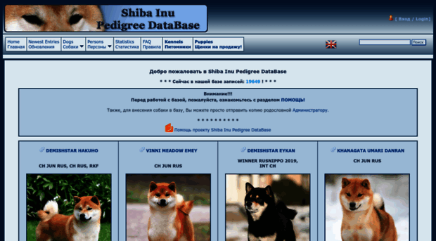 shiba pedigree