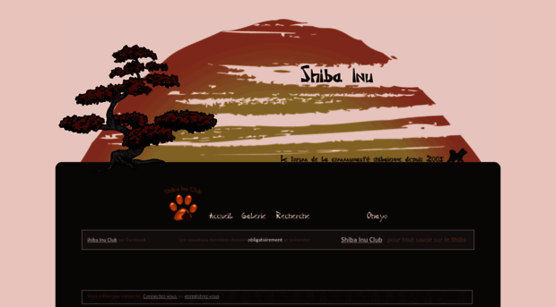 shiba.forumactif.com