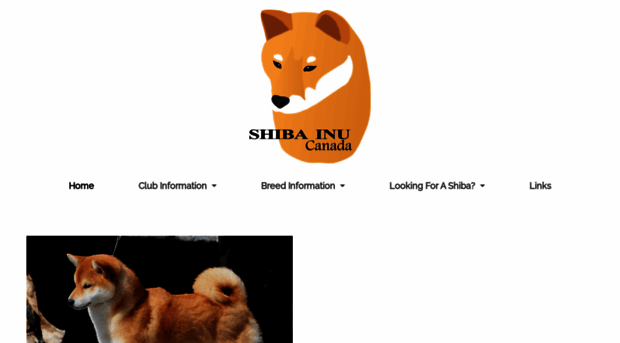 shibainucanada.com