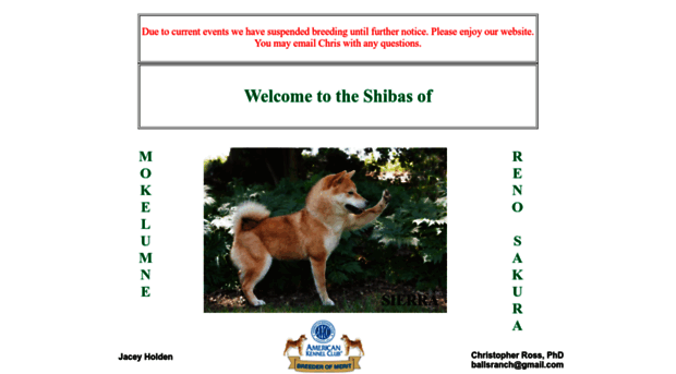 shibainus.com