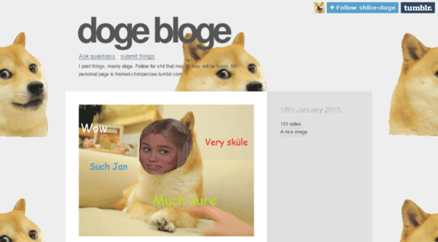 shibe-doge.tumblr.com