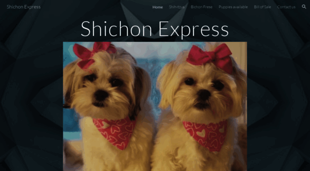 shichonexpress.com