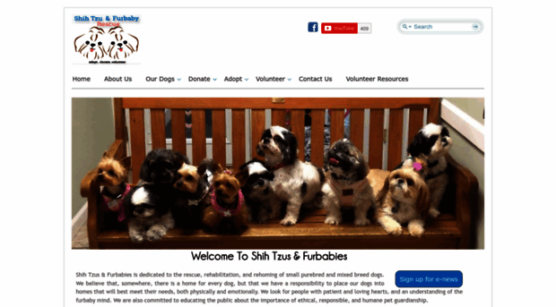 stfbr rescue