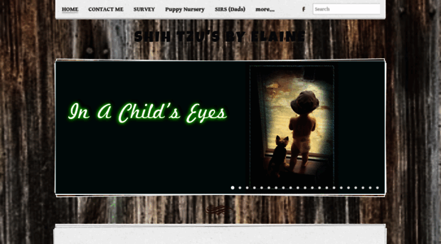 shihtzusbyelaine.com