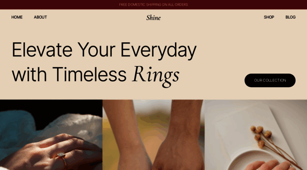 shinetemplate.framer.website