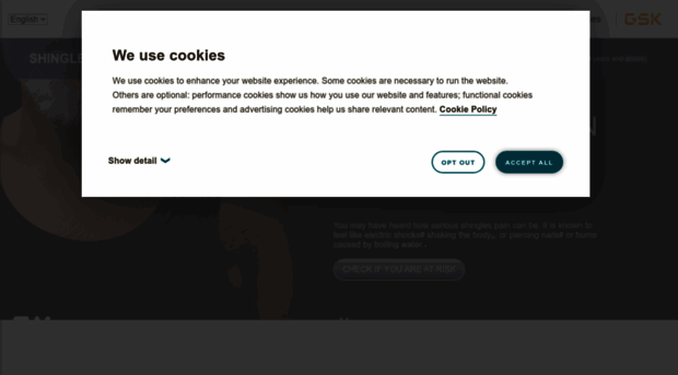 shinglesprotection-ae.com