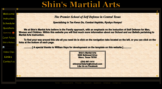 shinsmartialarts.com