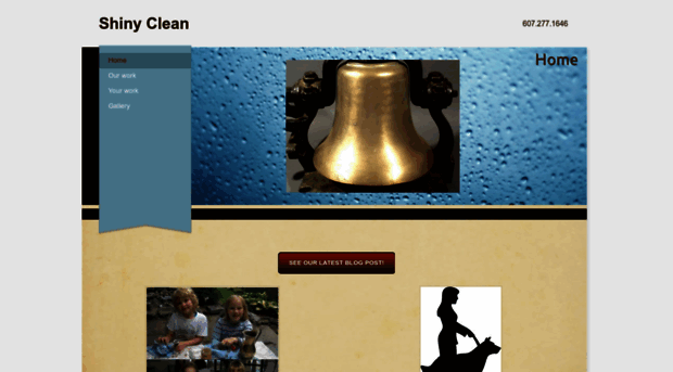 shinyclean.weebly.com