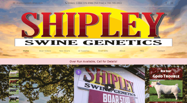 shipleyswine.com