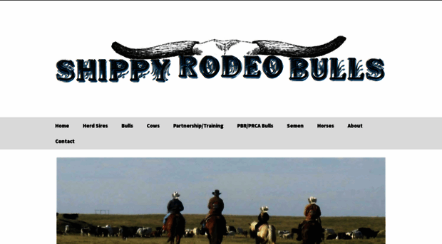 shippyrodeobulls.com