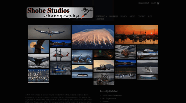 shobestudios.com