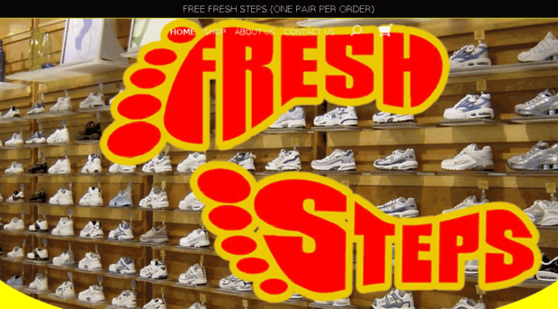 shoefreshener101.com