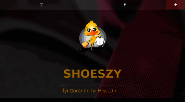 shoeszy.com