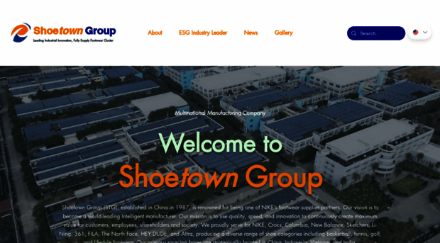 shoetowngroup.com