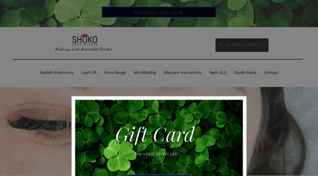 shokolashstudio.com