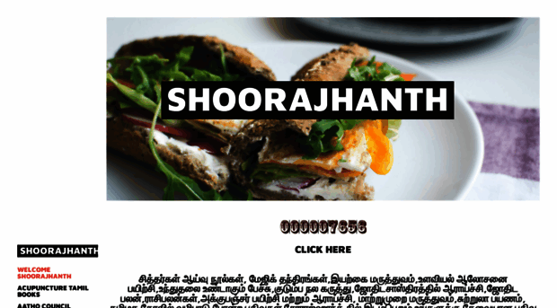 shoorajhanth.weebly.com