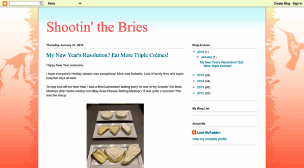 shootinthebries.blogspot.com