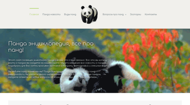 shop-panda.ru